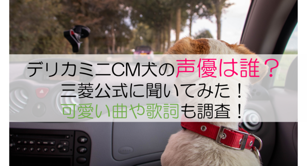 デリカミニ表紙