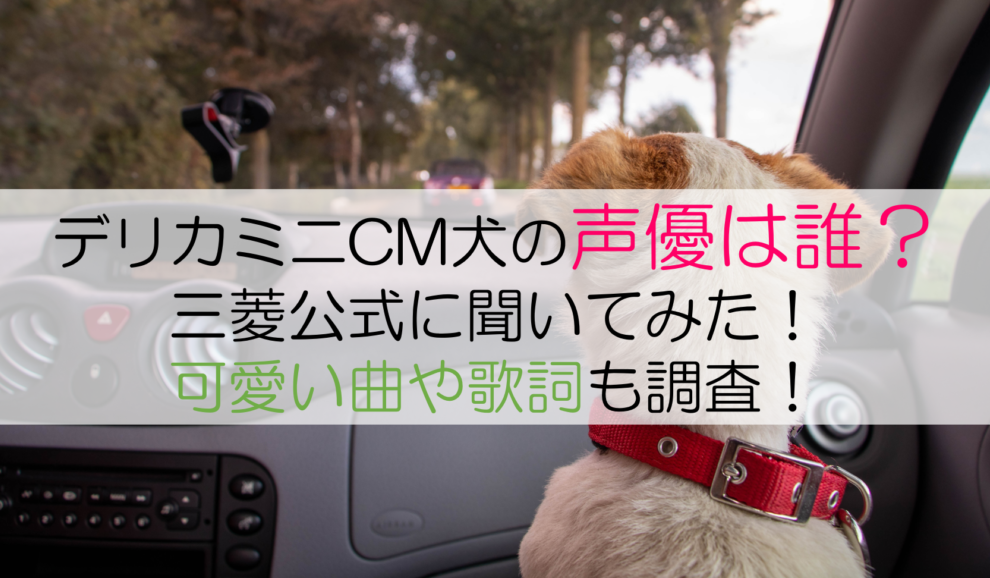 デリカミニ表紙