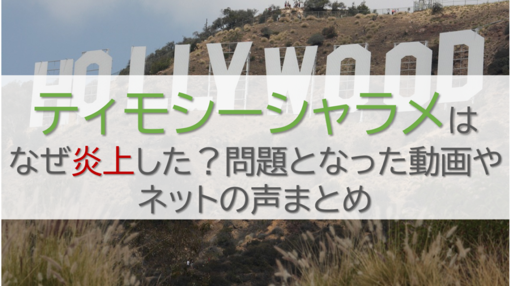 ティモシーシャラメはなぜ炎上した？問題となった動画やネットの声まとめ