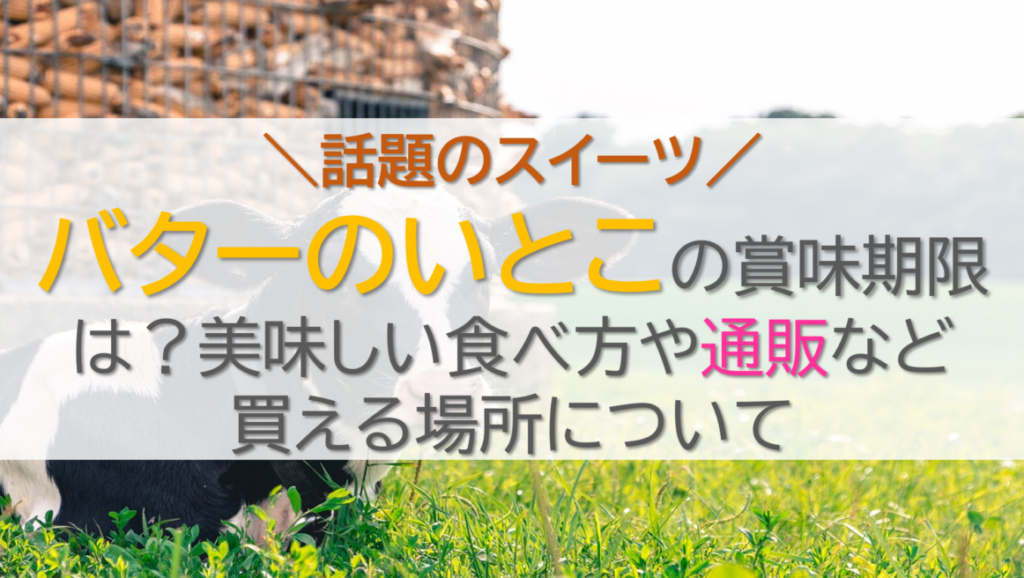 バターのいとこの賞味期限は？美味しい食べ方や通販など買える場所について